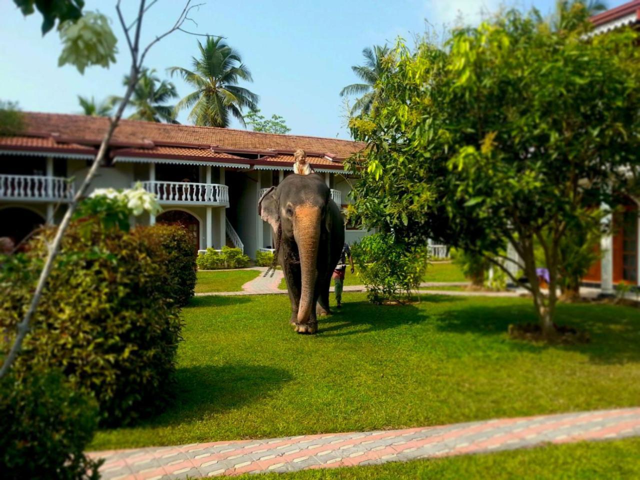 Bougain Villa ベントータ エクステリア 写真